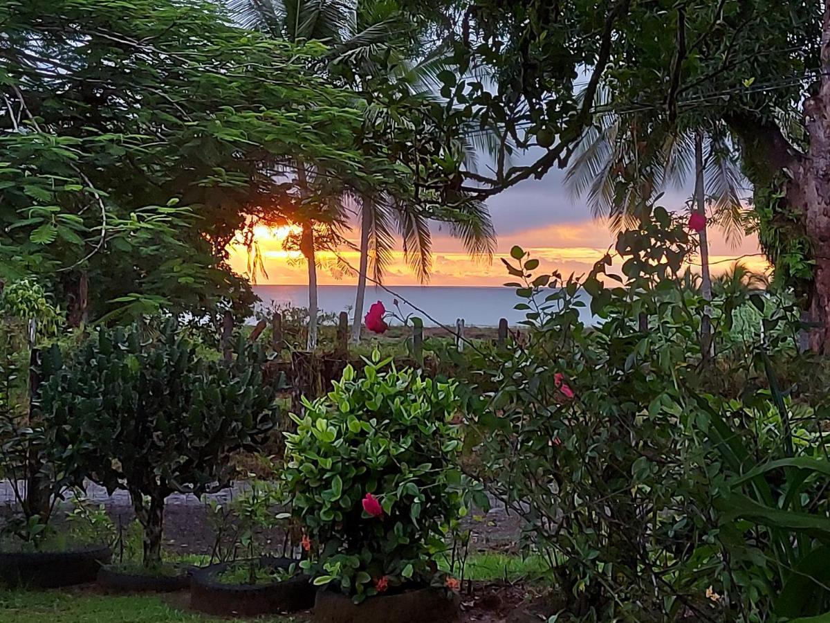 Hotel Gitana Corcovado, Y Tour Operador Drake Bay Bagian luar foto