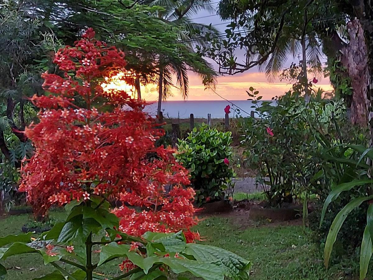 Hotel Gitana Corcovado, Y Tour Operador Drake Bay Bagian luar foto
