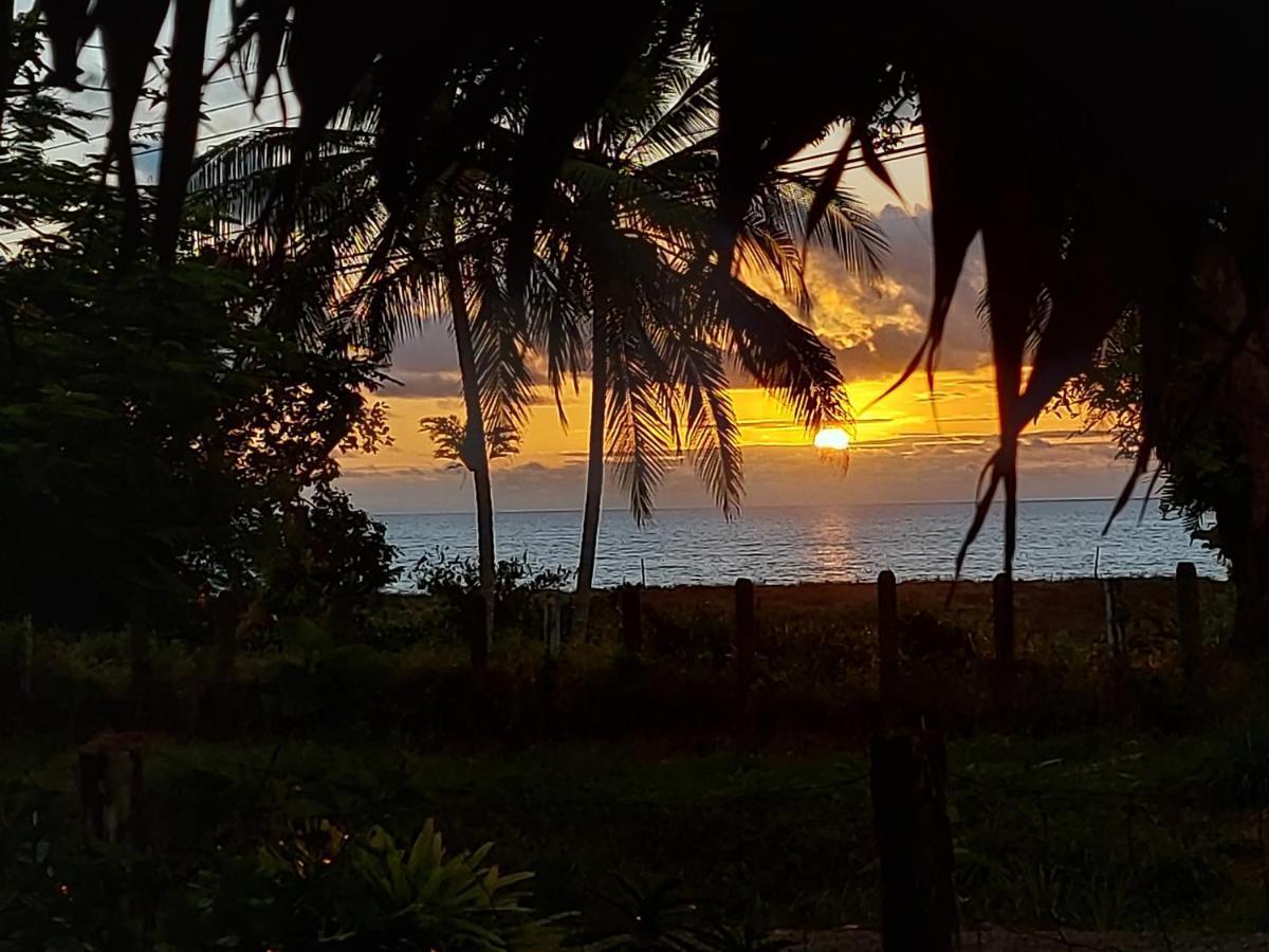 Hotel Gitana Corcovado, Y Tour Operador Drake Bay Bagian luar foto