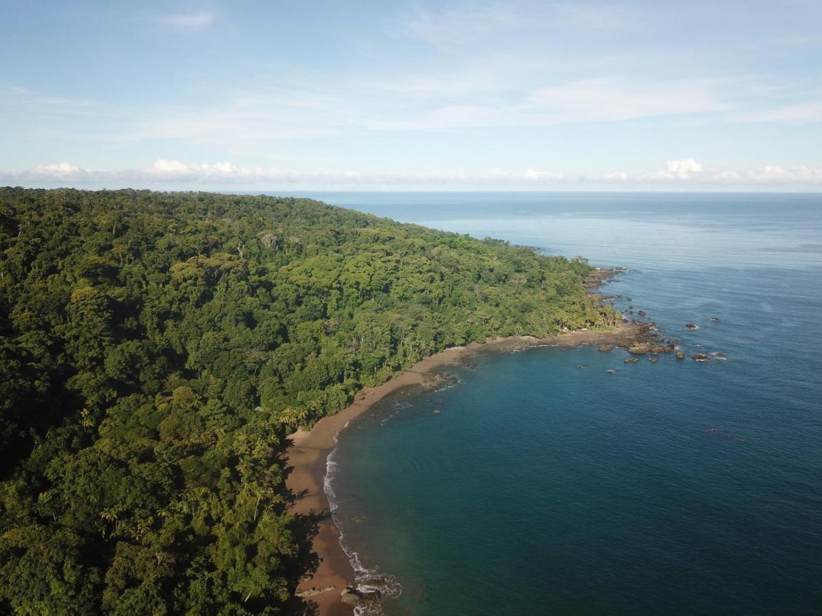 Hotel Gitana Corcovado, Y Tour Operador Drake Bay Bagian luar foto