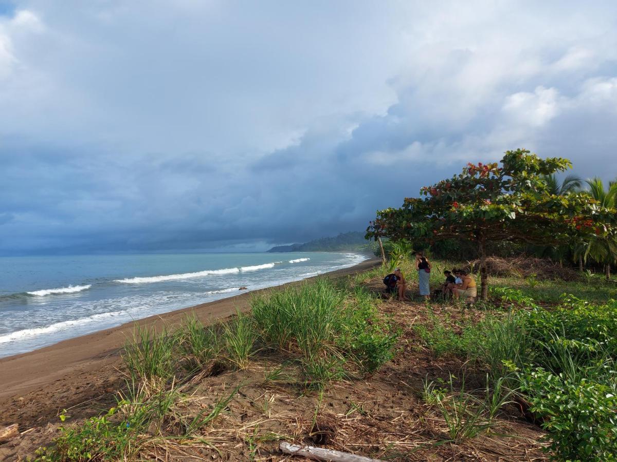 Hotel Gitana Corcovado, Y Tour Operador Drake Bay Bagian luar foto
